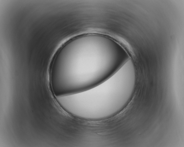 X0000111501280200907141036