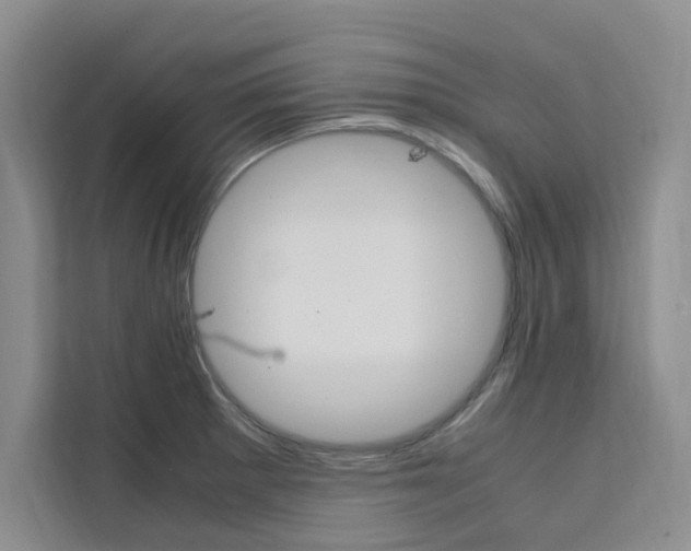 X0000111501281200907141036