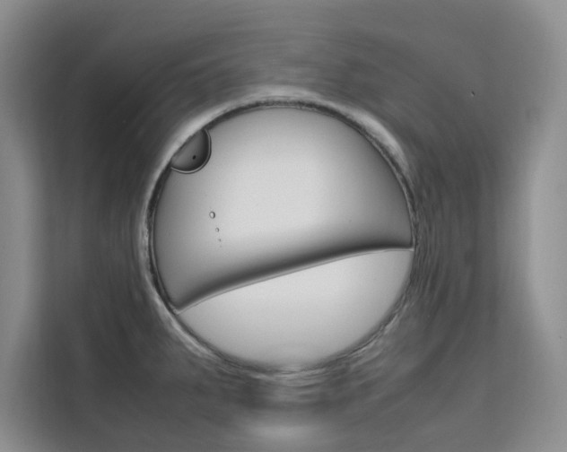 X0000111501287200907141036