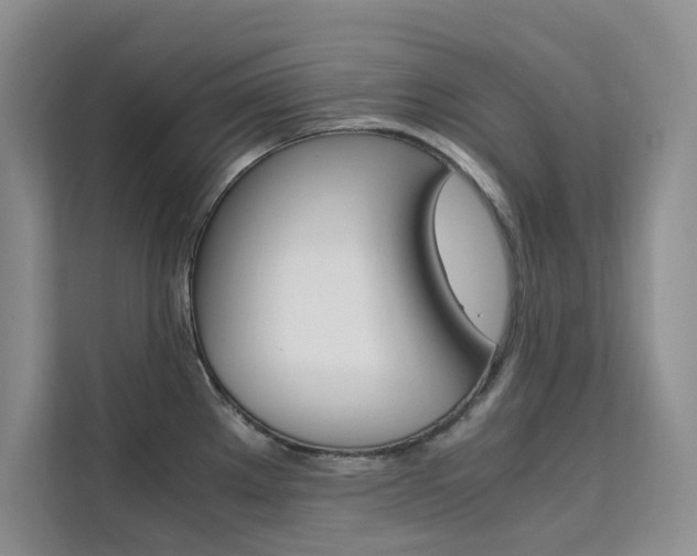 X0000111501289200907141036