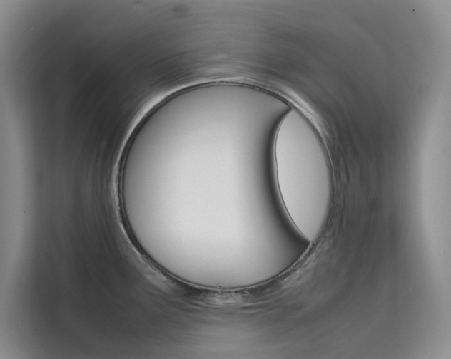 X0000111501291200907141036