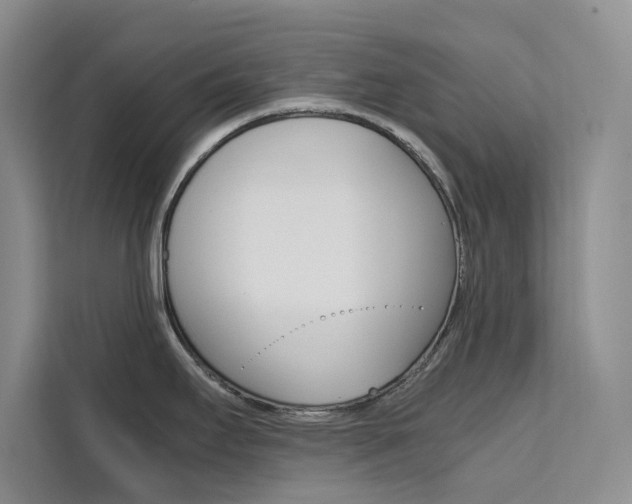 X0000111501295200907141036