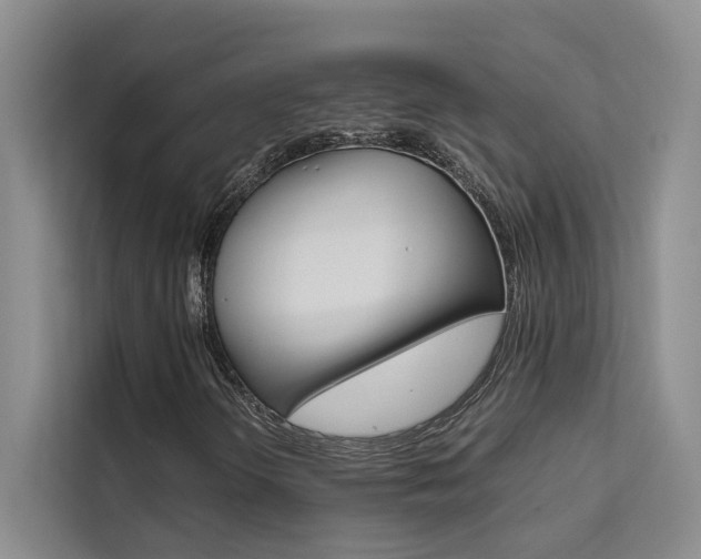 X0000111501298200907141035