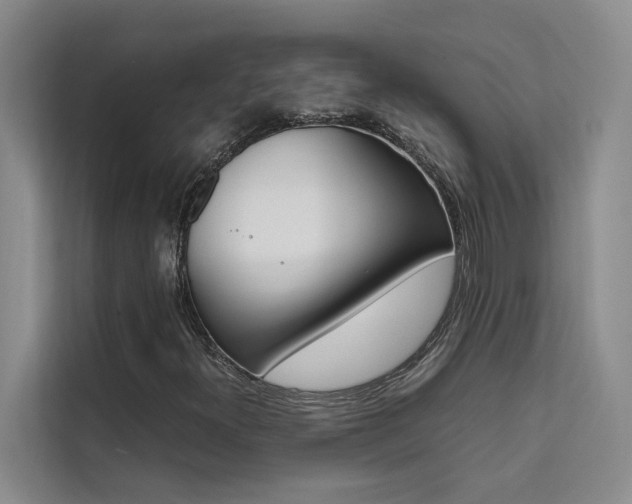X0000111501300200907141035