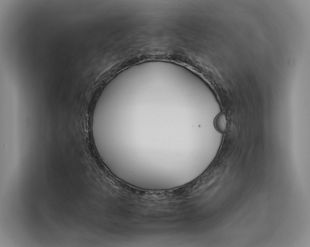 X0000111501301200907141035