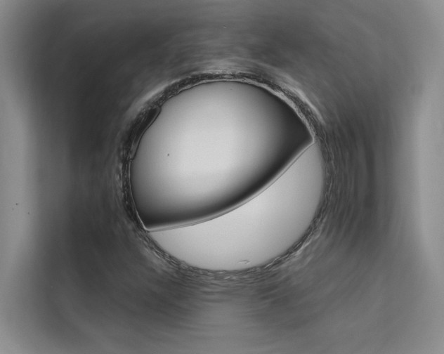 X0000111501304200907141035