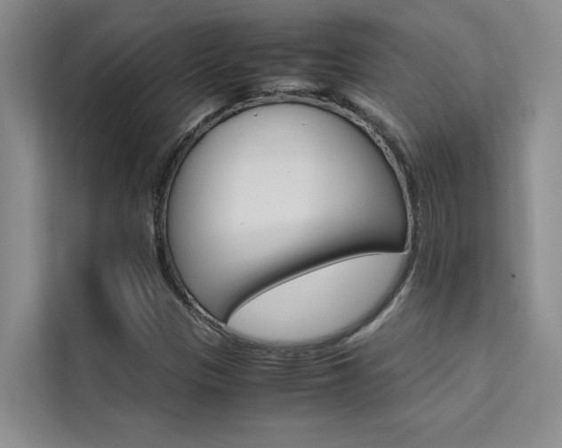 X0000111501305200907141035