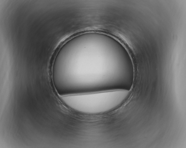 X0000111501308200907141035