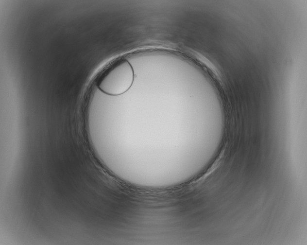 X0000111501310200907141035
