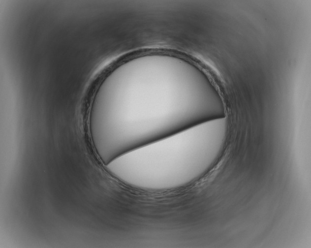 X0000111501311200907141035