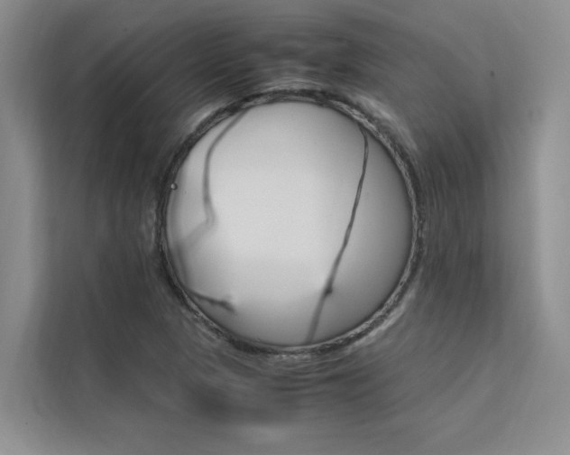 X0000111501313200907141035