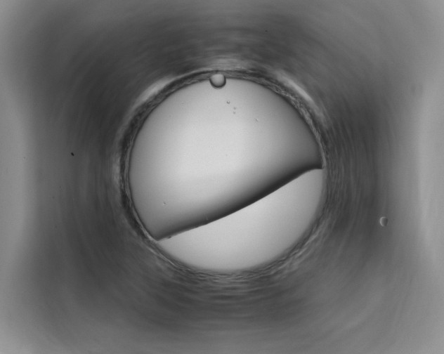 X0000111501315200907141036
