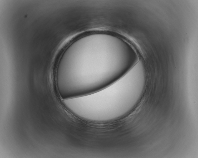 X0000111501319200907141036