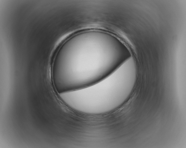 X0000111501320200907141036