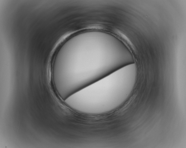 X0000111501323200907141036