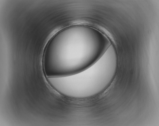 X0000111501330200907141036