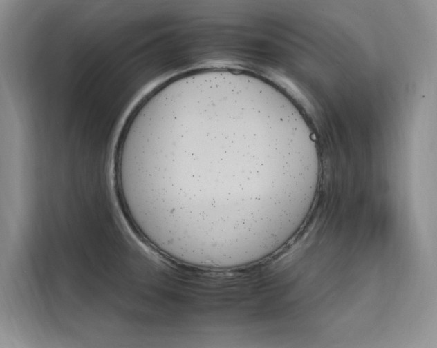 X0000111501331200907141036
