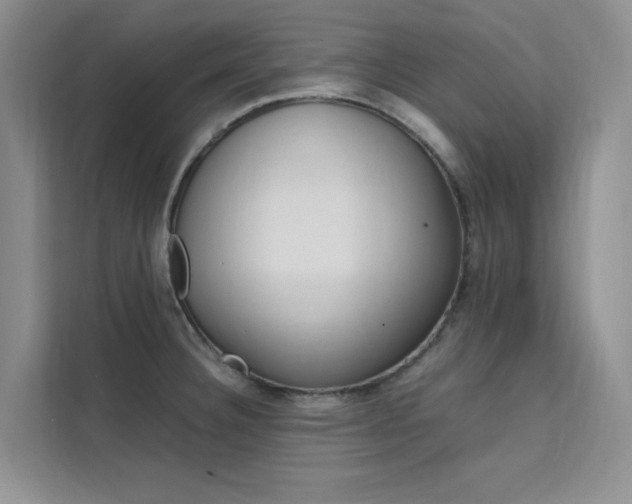 X0000111501332200907141036
