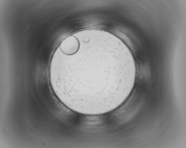 X0000111501338200907141036