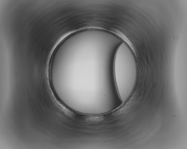 X0000111501339200907141036