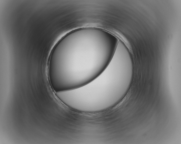 X0000111501340200907141036