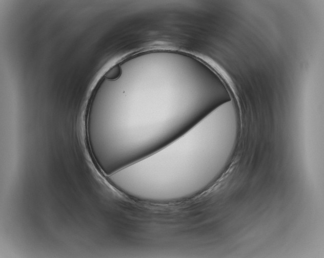 X0000111501341200907141036