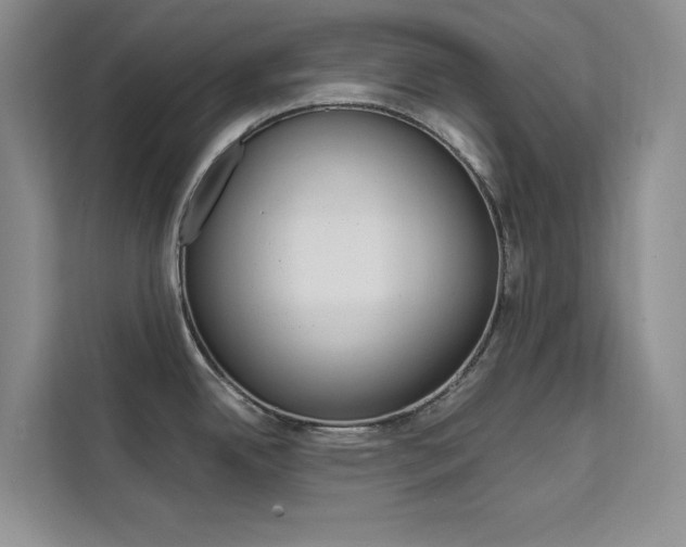 X0000111501342200907141036