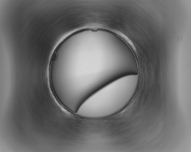 X0000111501343200907141036
