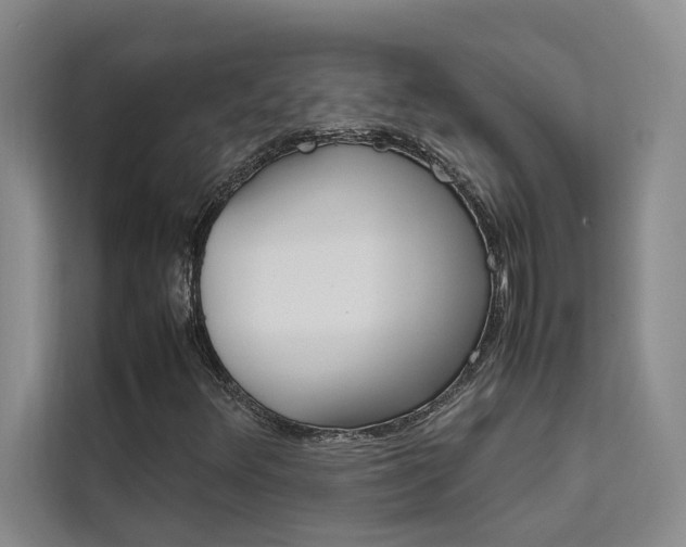 X0000111501348200907141035