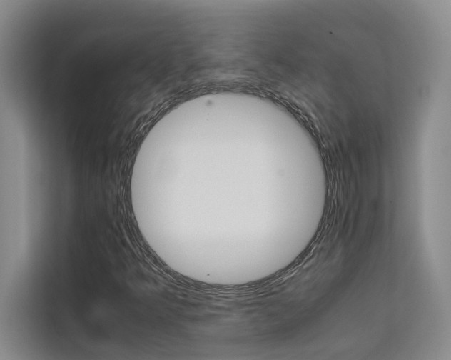 X0000111501349200907141035