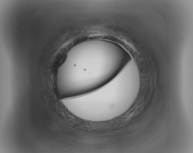X0000111501351200907141035