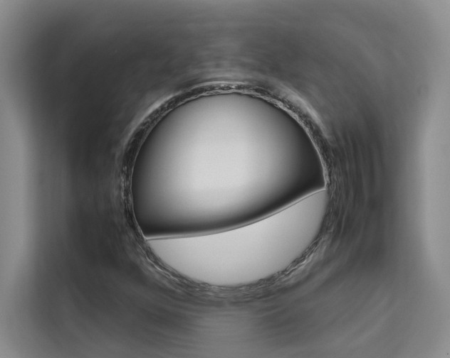 X0000111501352200907141035