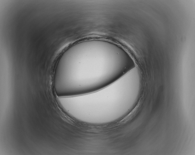 X0000111501355200907141035