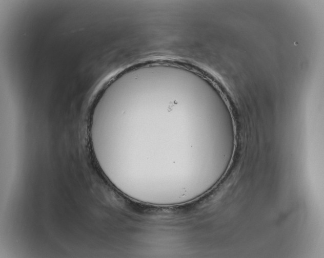 X0000111501359200907141035