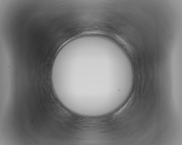 X0000111501361200907141035