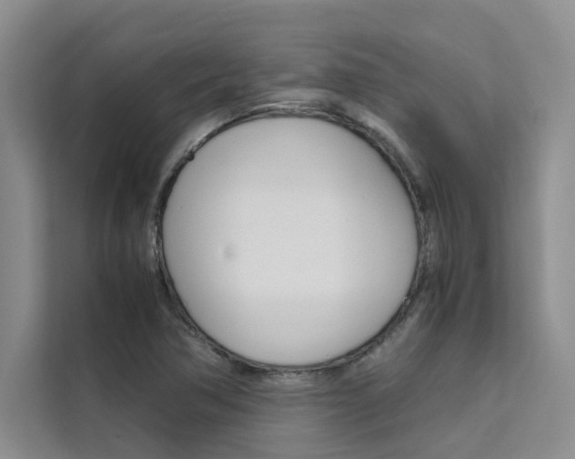 X0000111501362200907141035