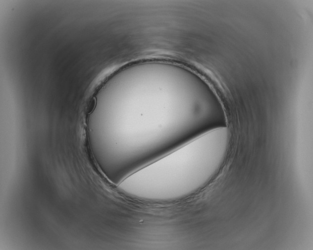 X0000111501363200907141035