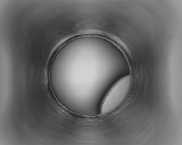 X0000111501364200907141035