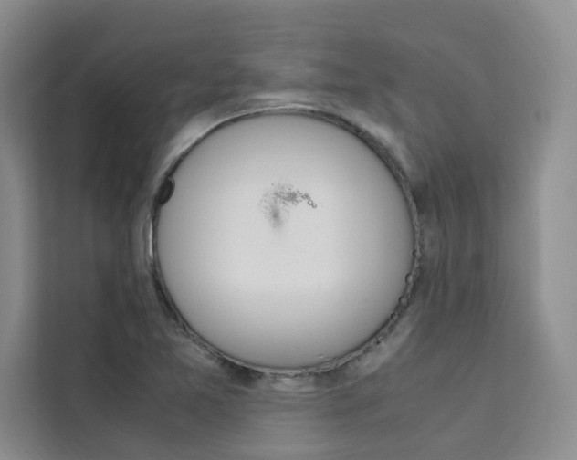 X0000111501365200907141035