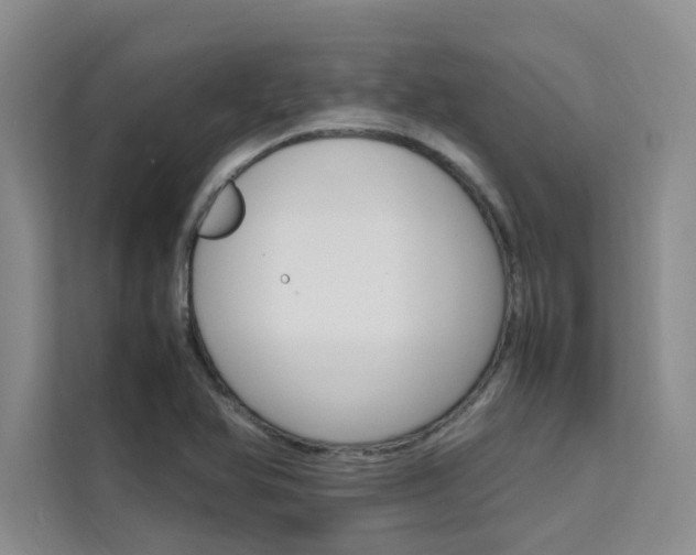 X0000111501366200907141035