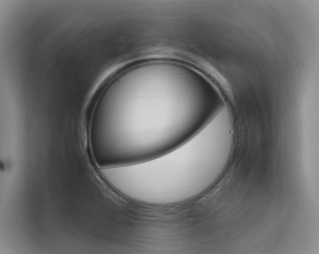 X0000111501368200907141035