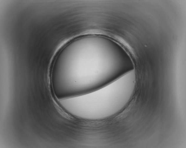X0000111501372200907141035