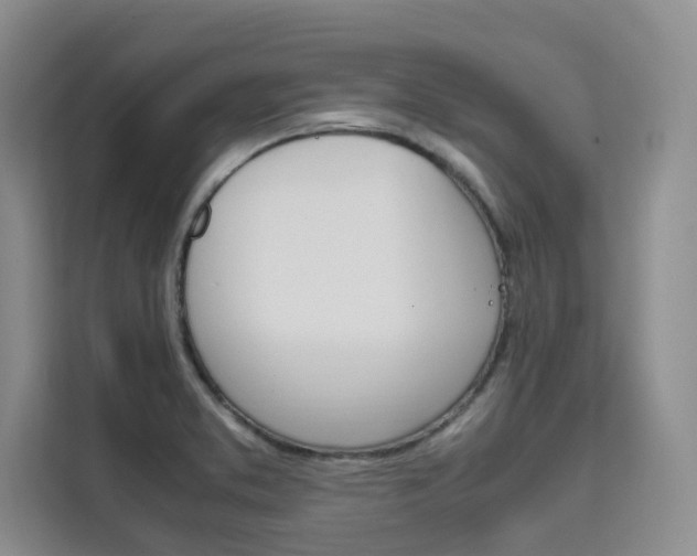 X0000111501373200907141035