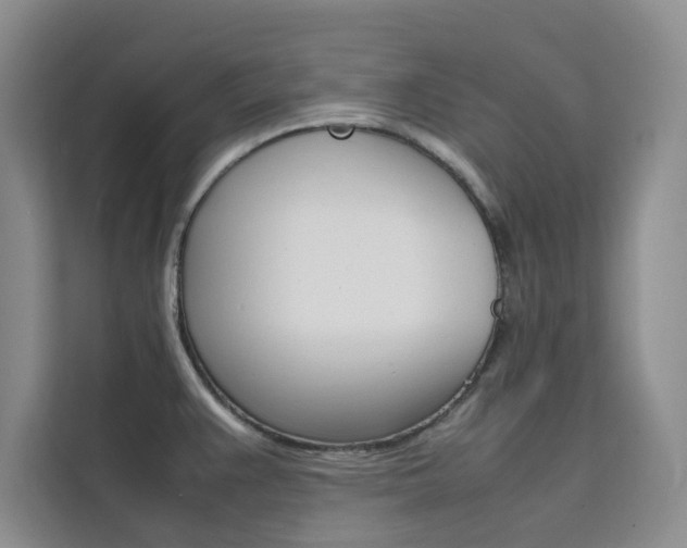 X0000111501383200907141035