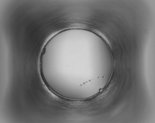 X0000111501387200907141035