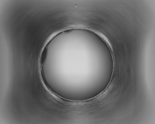 X0000111501389200907141035