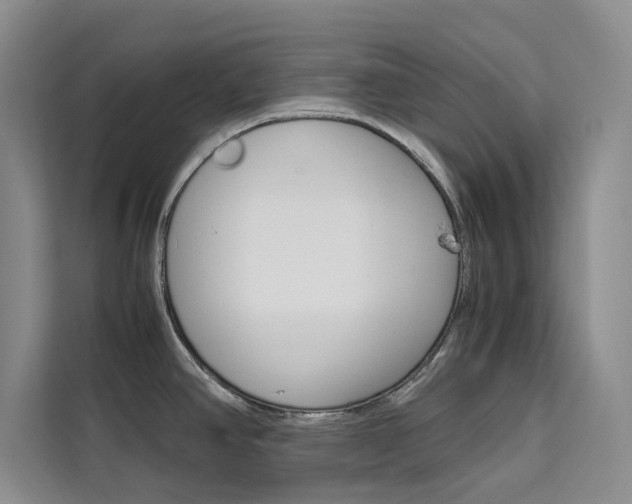 X0000111501390200907141035