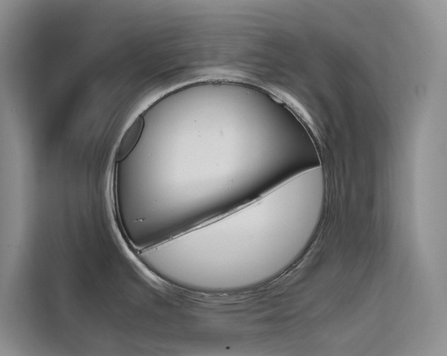 X0000111501391200907141035
