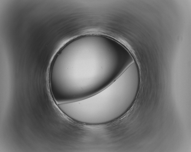 X0000111501392200907141035