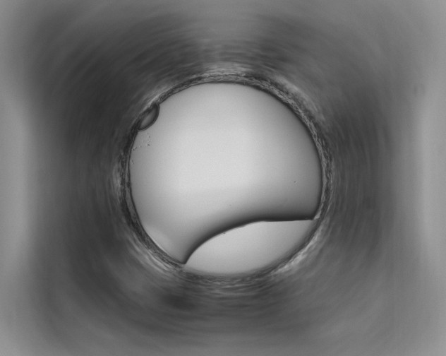X0000111501401200907141034